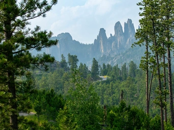 Cathedral Spires - The Needles - in Custer State Park, Black Hills, South Dakota. Framed by trees and clouds overhead.