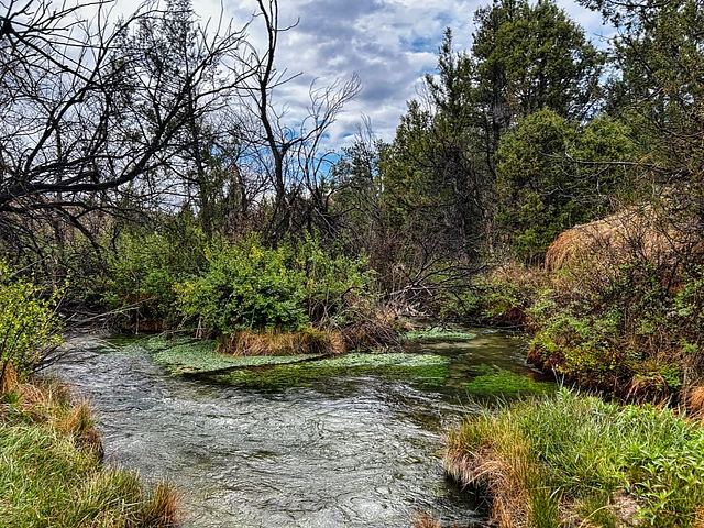 Cascade Springs - natural mineral springs river with greenery year round. Near Hot Springs, SD.