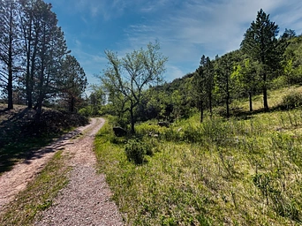 Wind Cave Canyon Trail with blue skies and wispy clouds. Hiking trail near Hot Springs, SD.