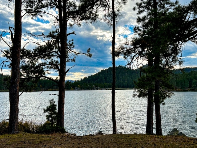 Stockade Lake in Custer State Park as seen through pine trees in the Black Hills.