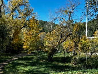 The Rushmore Lions Nature Park in Rapid City SD where it lines the river.