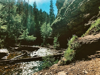 Devils Bathtub in Spearfish Canyon - Trees, cliffs, river, and blue skies.
