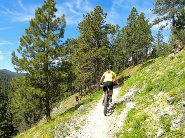 woman on a mountain bike on the Alkali Creek Trail in the Black Hills of South Dakota.