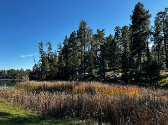 Legion Lake and nearby hillside in fall colors - Black Hills, Custer State Park.