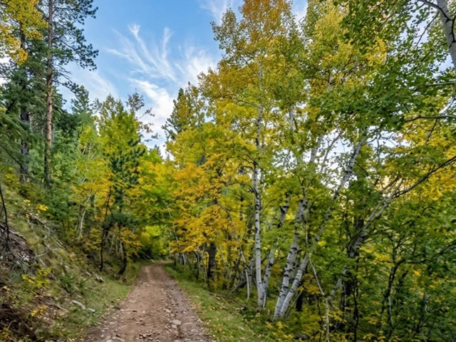 Blacktail Trail in South Dakota - for UTVs, 4-wheelers, and other off-road rides.