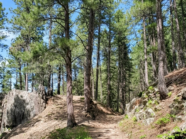 Flume hiking trail in the Black Hills of South Dakota - visitor and tourist guide.