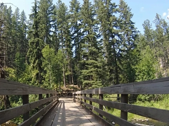 A wooden bridge along the Boxelder motorized trail in the Black Hills, South Dakota. Trail heads through ponderosa pines.